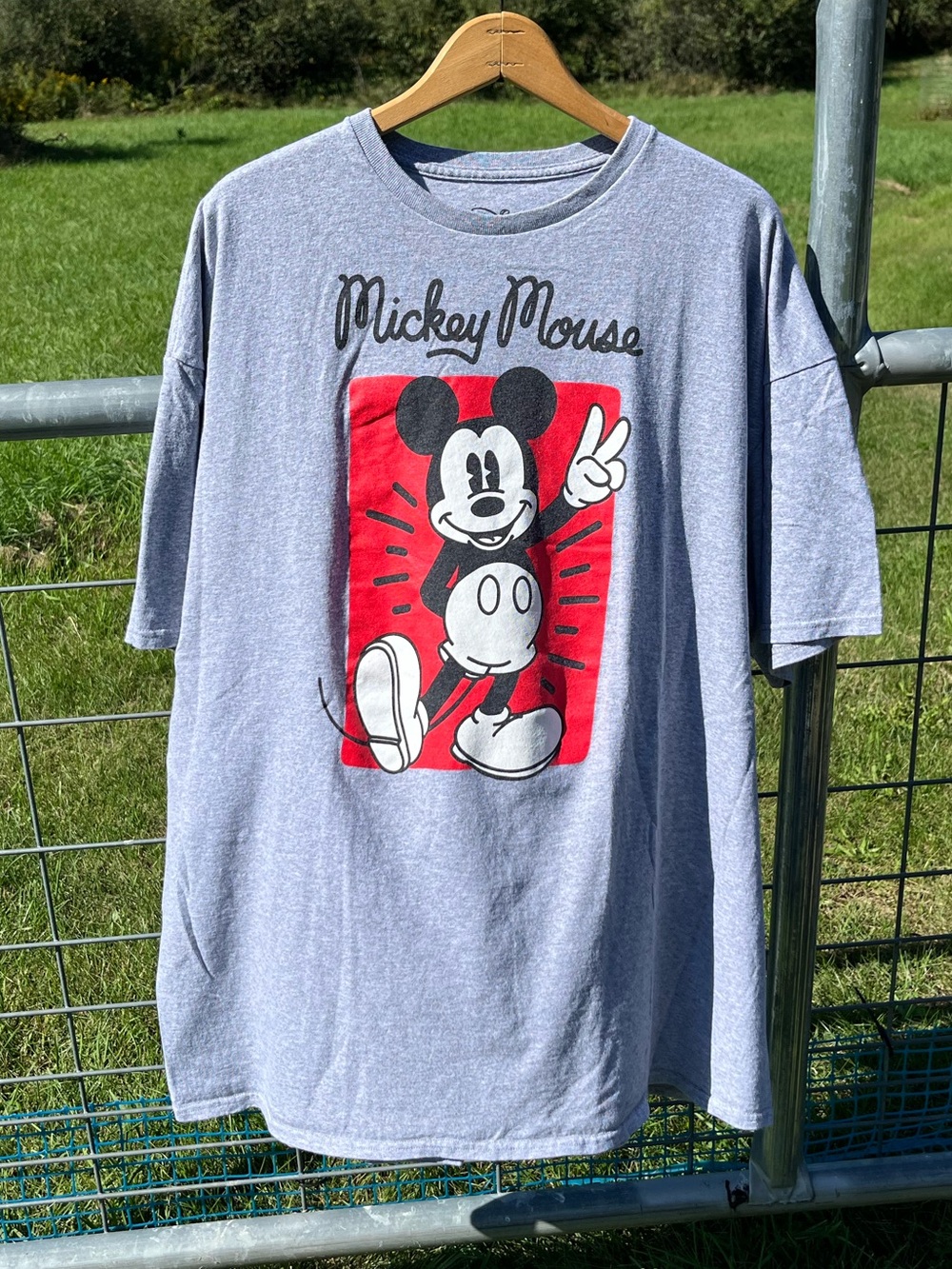 Disney Mickey Mouse Character T-Shirt Gray Men’s Size 3XL Vacation Disney Parks